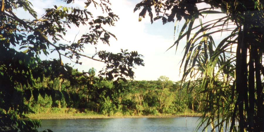 Apps, CDs, DVDs und Downloads